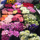 Daily Market தினசரி மார்க்கெட்